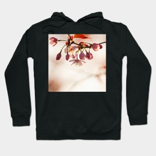 Cherry Blossom Hoodie